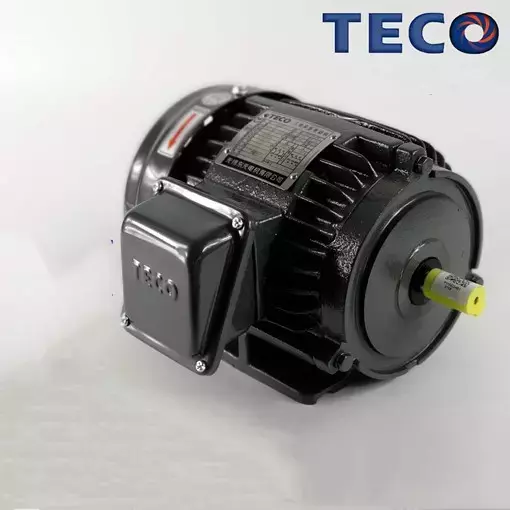 TECO Electric Motor Models