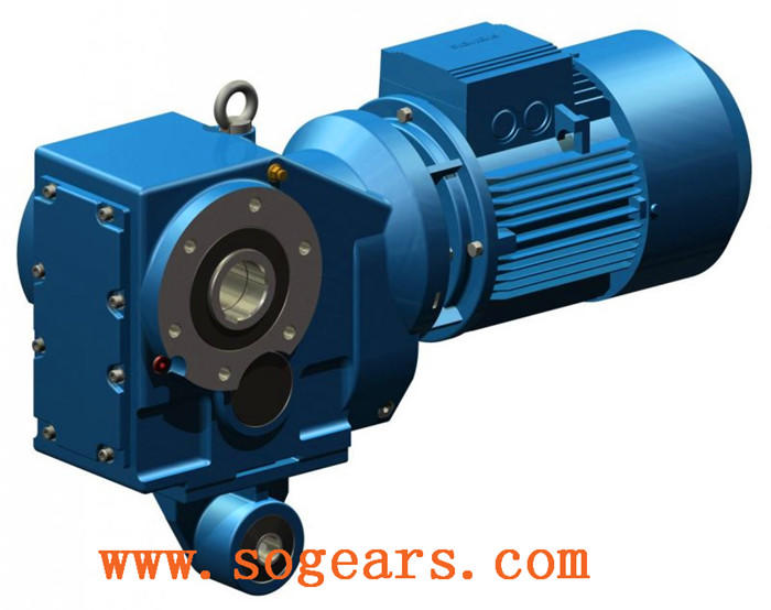 Gear reduction box electric motor