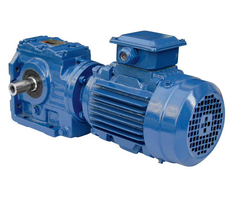 Gear reduction box electric motor