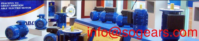Split phase induction motor