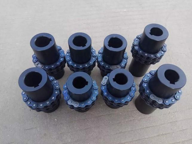 Roller chain shaft coupling