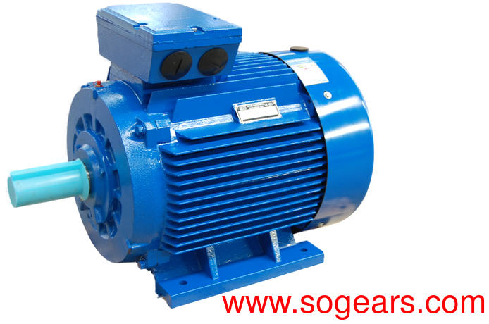 double squirrel cage induction motor