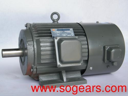 permanent magnet induction motor
